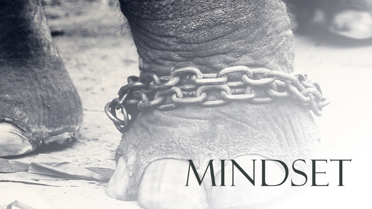 Its called  MIndset?